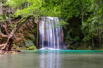 Fototapeta na wymiar Waterfall with tree rainforest beautiful nature in Thailand