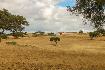 Típica quinta no Alentejo, Portugal.
