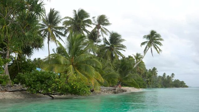 Abandoned tropical island in Majuro, Marshall Islands. Abandoned Palm Island in the middle of nowhere. High quality 4k footage