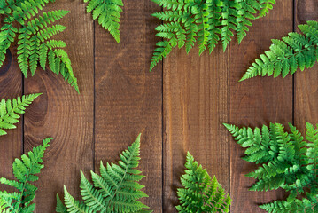 Flat lay creative frame of nature leaves fern plant on rustic wood grunge background with retro , tropical jungle vacation and travel concepts.