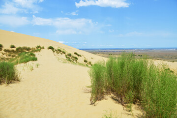 Sand dunes of the Sarykum dune. A natural monument. Dagestan. Russia