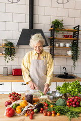 Attractive senior woman with grey hair cooking healthy food on her kitchen at home. Mature female preparing fresh vegetarian salad with organic ingredients from the market: tomato, cucumber, pepper
