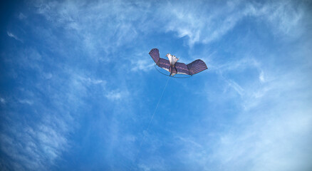 A kite in the form of a bird flies in the blue sky. Free flight in the clouds. White clouds with a...