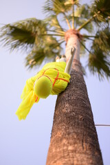 The visual prepared for the techno party. mannequin hung upside down on palm tree