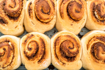 Cinnamon rolls