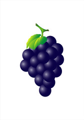 Icono de racimo de uvas negras. Vendimia