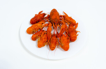 Group of boiled river red crayfish are laid out on a plate. White background.