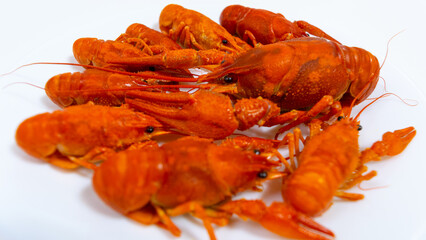 Group of boiled river red crayfish are laid out on a plate. White background.