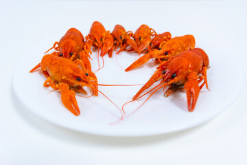 Group of boiled river red crayfish are laid out on a plate. White background. Catching crayfish for human consumption. Delicious food.