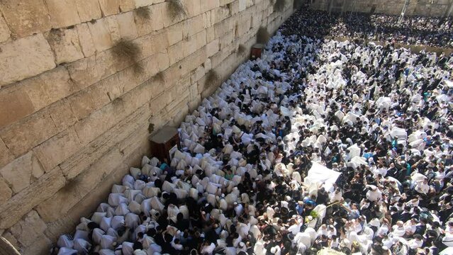 Thousands of Jewish people at western wall on Sukot holiday 
Sukkot traditional holiday pray, Jerusalem,israel,october,05,2021

