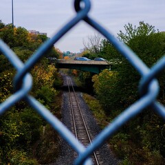 seeing through the fence