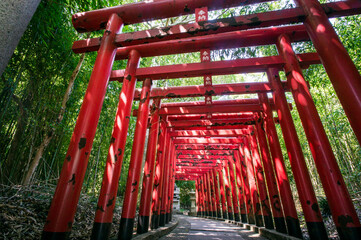 Torii tunnel at Yashima Temple in Kagawa Prefecture, Japan