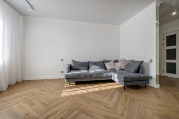 furniture in interior of expensive living room in studio apartments or flat with sofa