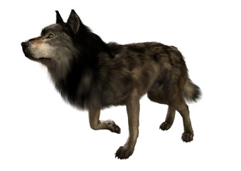 A 3d digital render of a wolf isolated with transparent background