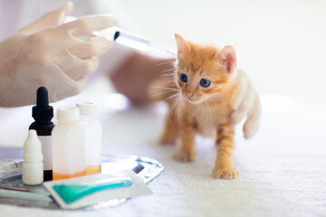 Kitten at vet clinic. Cat vaccination at doctor.