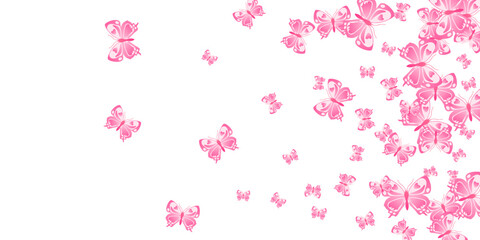 Exotic pink butterflies abstract vector background. Summer pretty moths. Wild butterflies abstract girly illustration. Tender wings insects patten. Nature creatures.