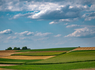 Ackerbau im Sommer