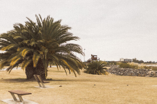 Laguna Mar Chiquita