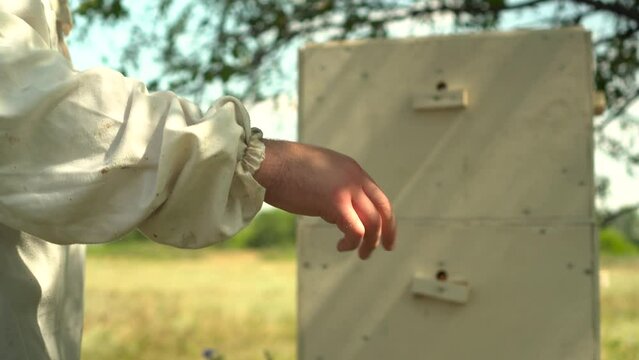 A beekeeper with a swollen palm due to a bee sting. A young man in the field against the background of a beehive in the apiary. A man in a white suit. Hand close up.