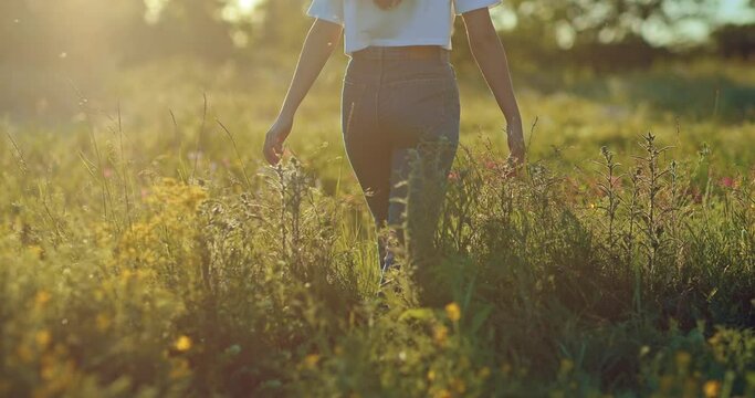 young lady is walking in beautiful blooming wild meadow in summer morning, rear view, 4K, Prores