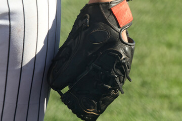 Hand in Baseball Glove Closeup