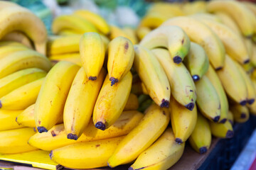 mature dessert bananas in basket on counter in market