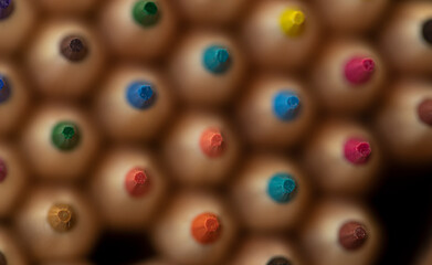 back to school. School concept. 