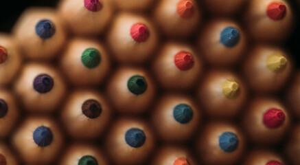 Pencils. Education. Back to school. 