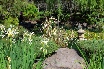 Himeji Garden in Adelaide, Australia