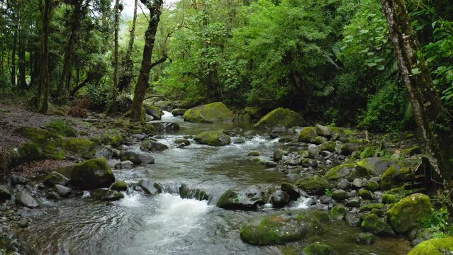 Aerial Drone View of River in Costa Rica Rainforest Scenery, Beautiful Nature with Water Flowing Through the Jungle at Savegre, San Gerardo De Dota, Central America