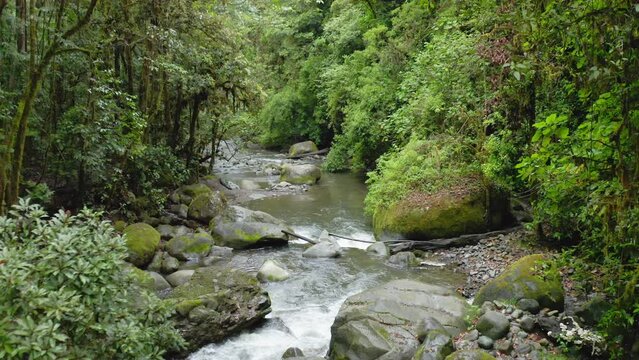 Aerial Drone View of River in Costa Rica Rainforest Scenery, Beautiful Nature with Water Flowing Through the Jungle at Savegre, San Gerardo De Dota, Central America