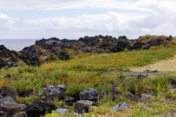 Fototapeta premium landscape with rocks