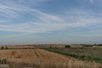 krajobraz, pola, niebo, charakter, rolnictwa, lato, gras, chmura, farma, obszarów wiejskich,