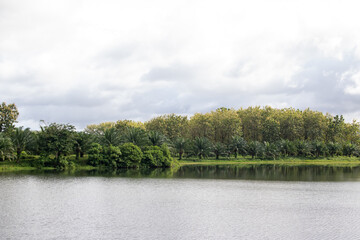 Lake and forest under blue sky