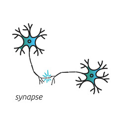 vector, synapse neural connection graphic