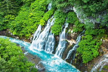 Fototapeta na wymiar 北海道 美瑛の白ひげの滝