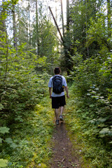 Naklejka premium man hiking in woods facing away from camera