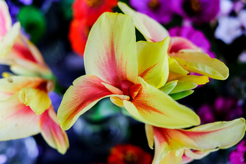 Flowers in bottles.