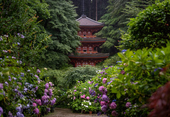 Gansen-ji Temple is in the middle of the forest and surrounded by hydrangeas. This temple is a...