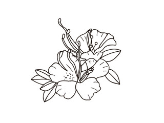 ウンゼンツツジ　県花（長崎県）