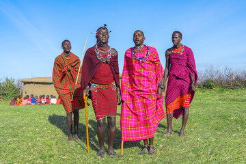 Maasai Mara man showing traditional Maasai jumping dance - obrazy, fototapety, plakaty