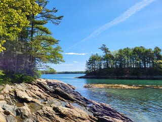 scenic beach with trees on an island