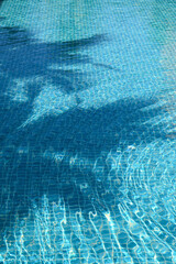 blue swimming pool with shadow of tree, beautiful background