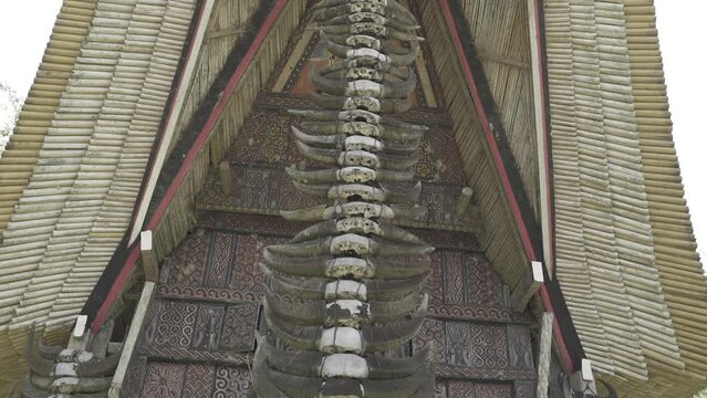 Tongkonan Traditional Ancestral House in Toraja, South Sulawesi, Indonesia - Buffalo Skulls Bones Horns in Row on Facade
