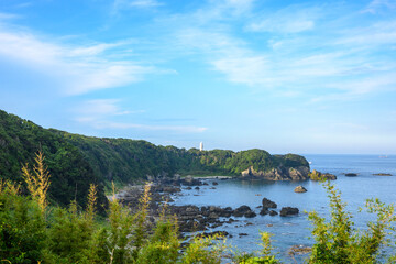 Fototapeta na wymiar 潮岬から望む海岸
