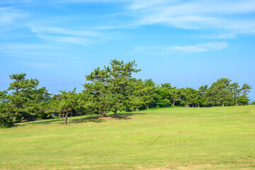 Fototapeta premium 潮岬