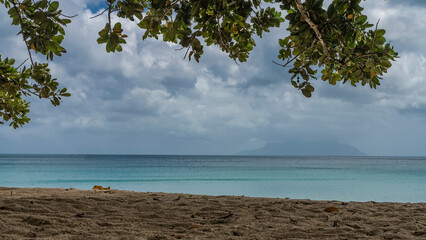 Green tree branches overhang the sandy beach. The aquamarine ocean is calm. In the distance, against the background of a cloudy sky, the outlines of the island are visible. Seychelles. Mahe.