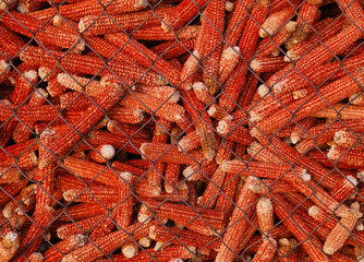 Background of pile of the old empty corn cobs with removed kernels in grid cage