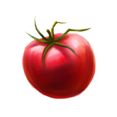 vegetable tomato food - isolated illustration transparent background - digital painting