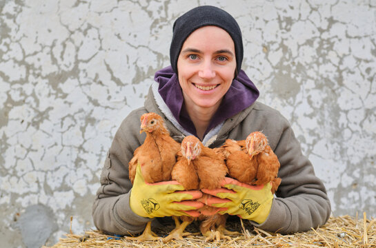 Woman farmer worker hands holding chickens poultry chicken farm looking in front